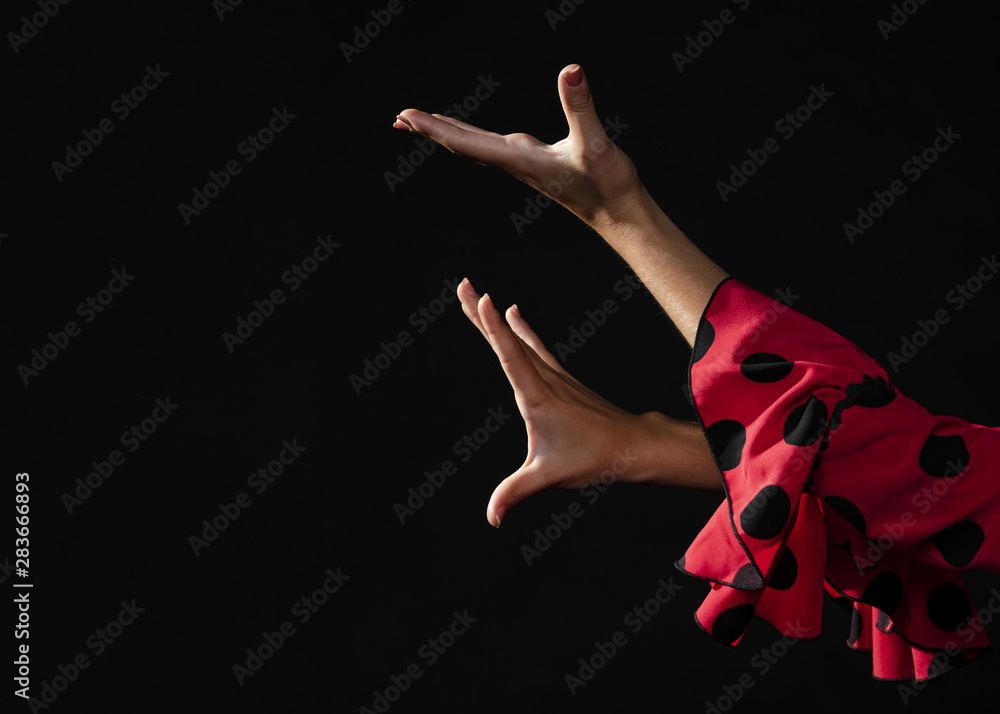 flamencoMain